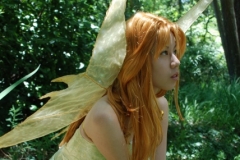 fairy02