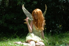 fairy07